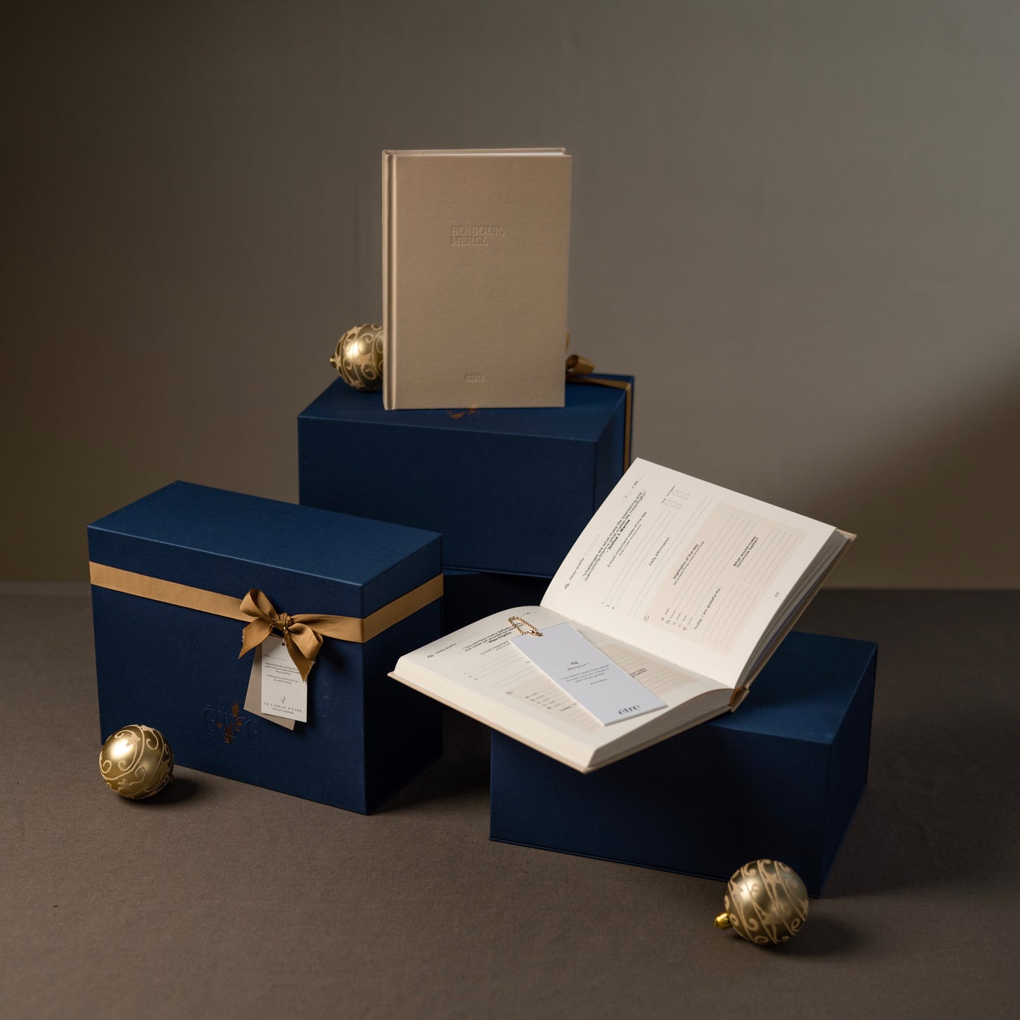 BONJOUR, MERCI—Planner and Mindfulness Journal (Undated)