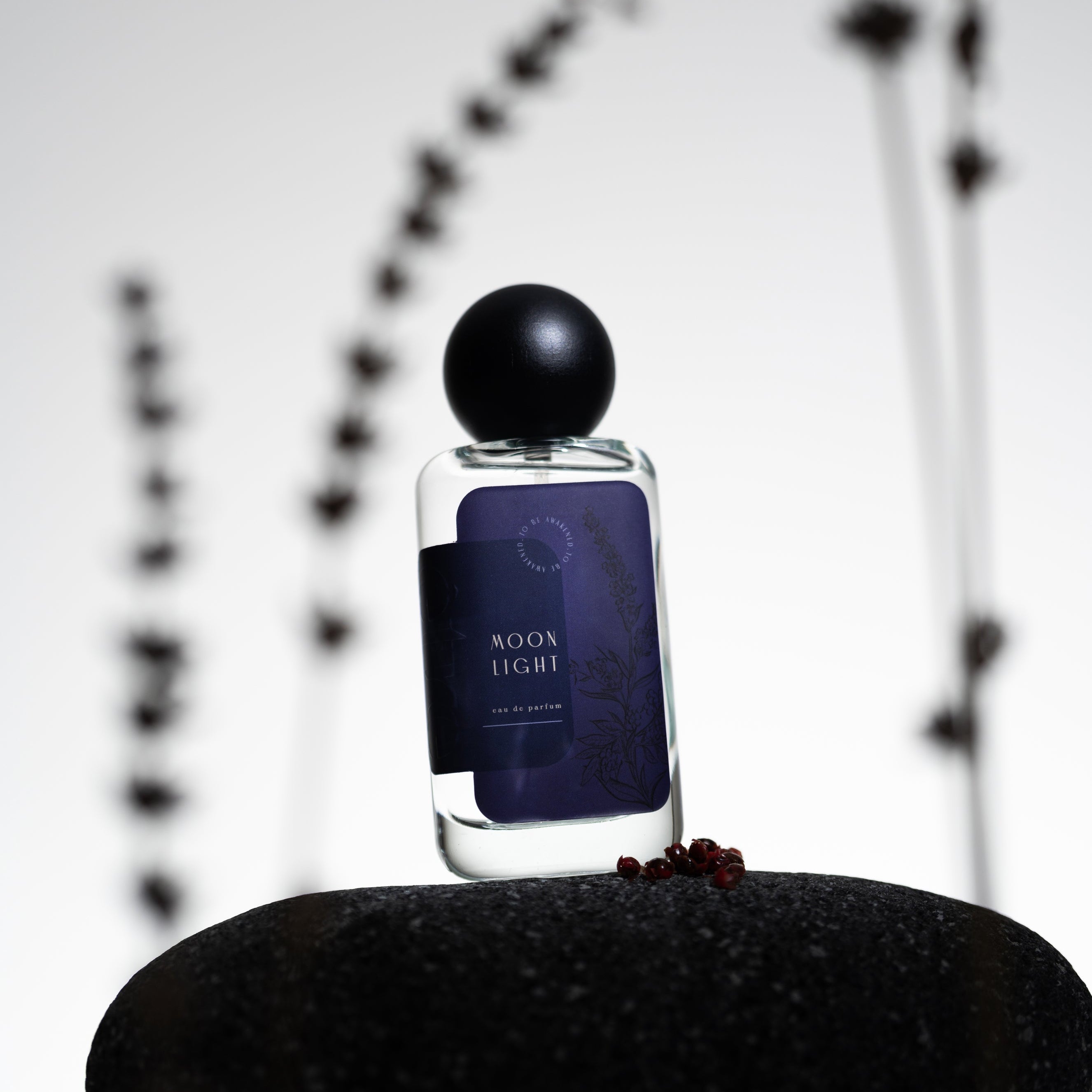 Moonlight - Limited Edition – Être Parfums